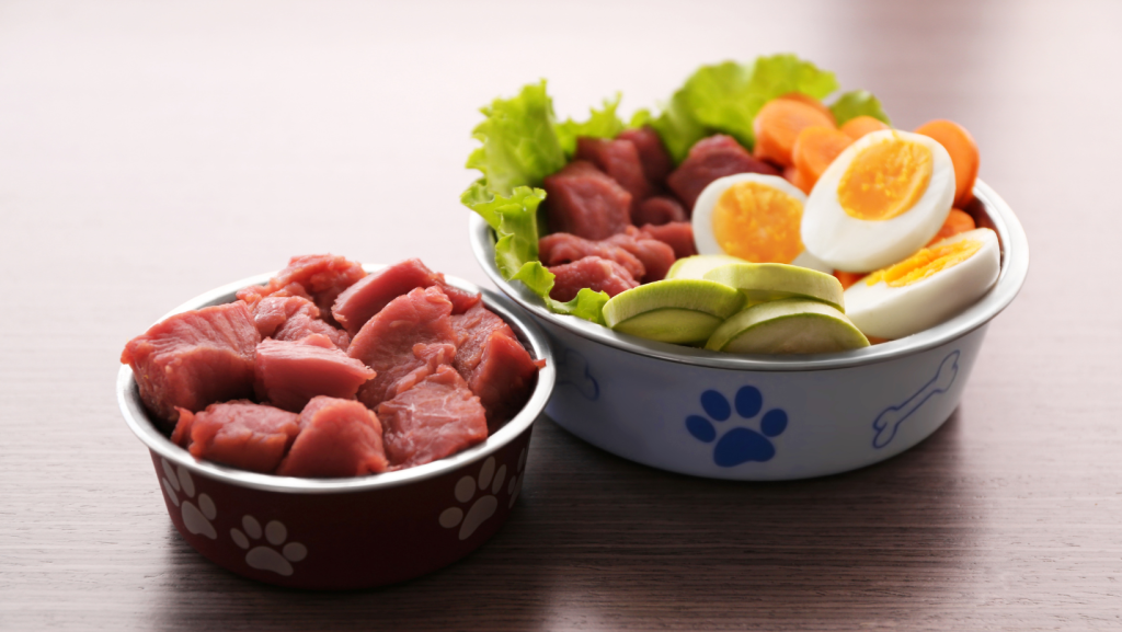 BARF šuns mityba - dubenėliai pilni mėsos, daržovių ir kiaušinių