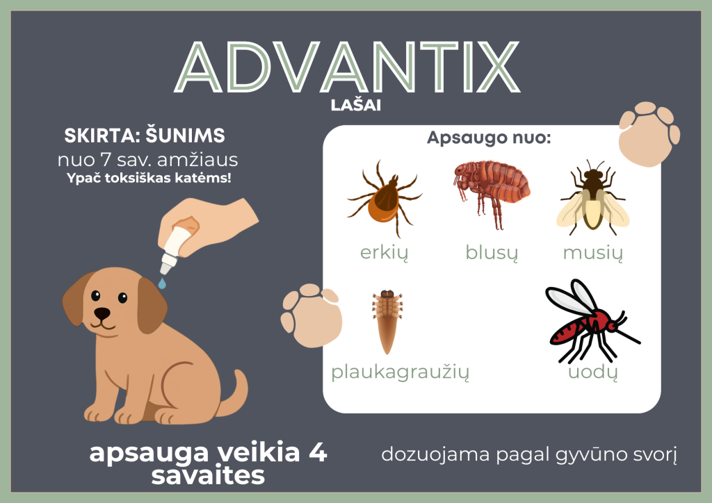 Advantix lašai šunims nuo 7 savaičių, apsaugantys nuo erkių, blusų, musių, plaukagraužių ir uodų 4 savaites.