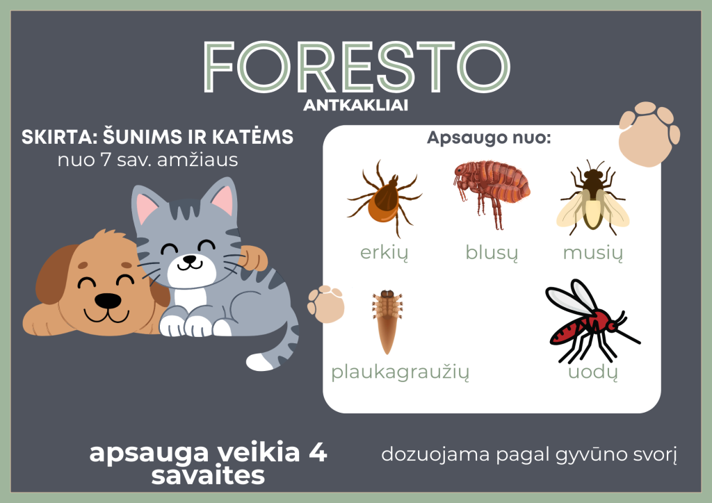 Foresto antkakliai šunims ir katėms nuo 7 savaičių, apsaugantys nuo erkių, blusų, musių, plaukagraužių ir uodų.