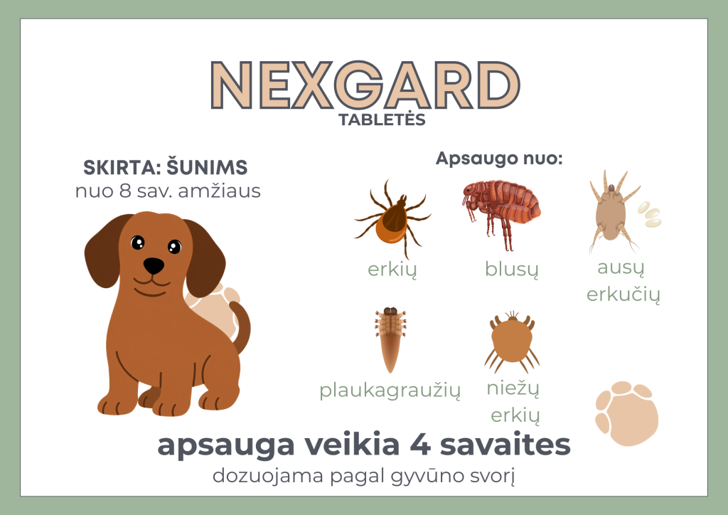 Nexgard tabletės šunims nuo 8 savaičių, apsaugančios nuo erkių, blusų, ausų erkučių, plaukagraužių ir niežų erkių 4 savaites.