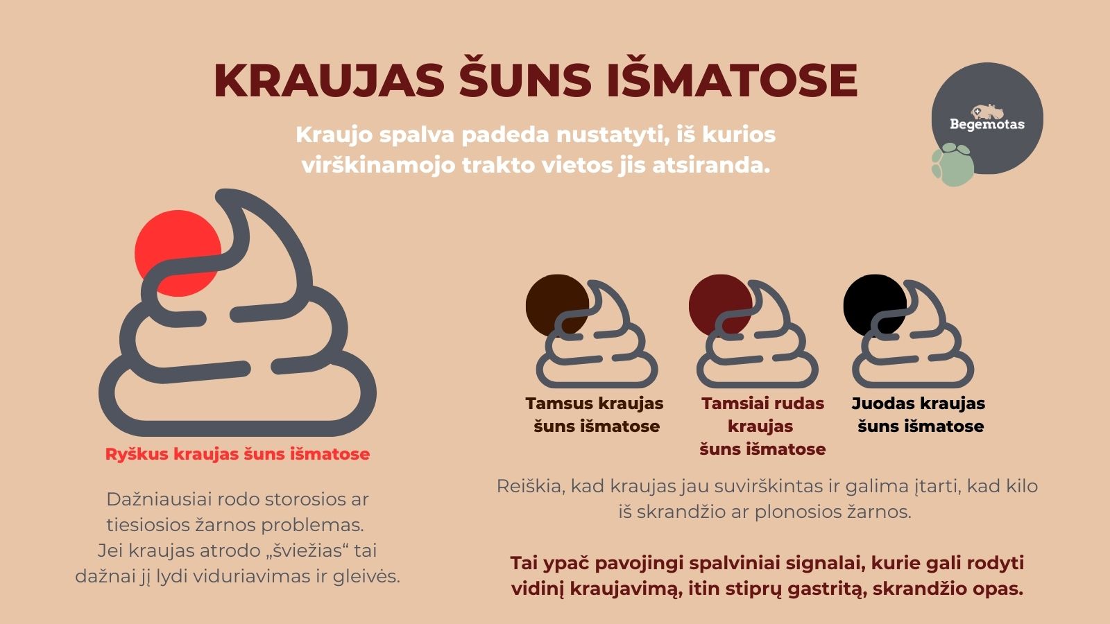 Kraujas šuns išmatose. Spalva padeda nustatyti, iš kurios virškinamojo trakto vietos jis atsiranda