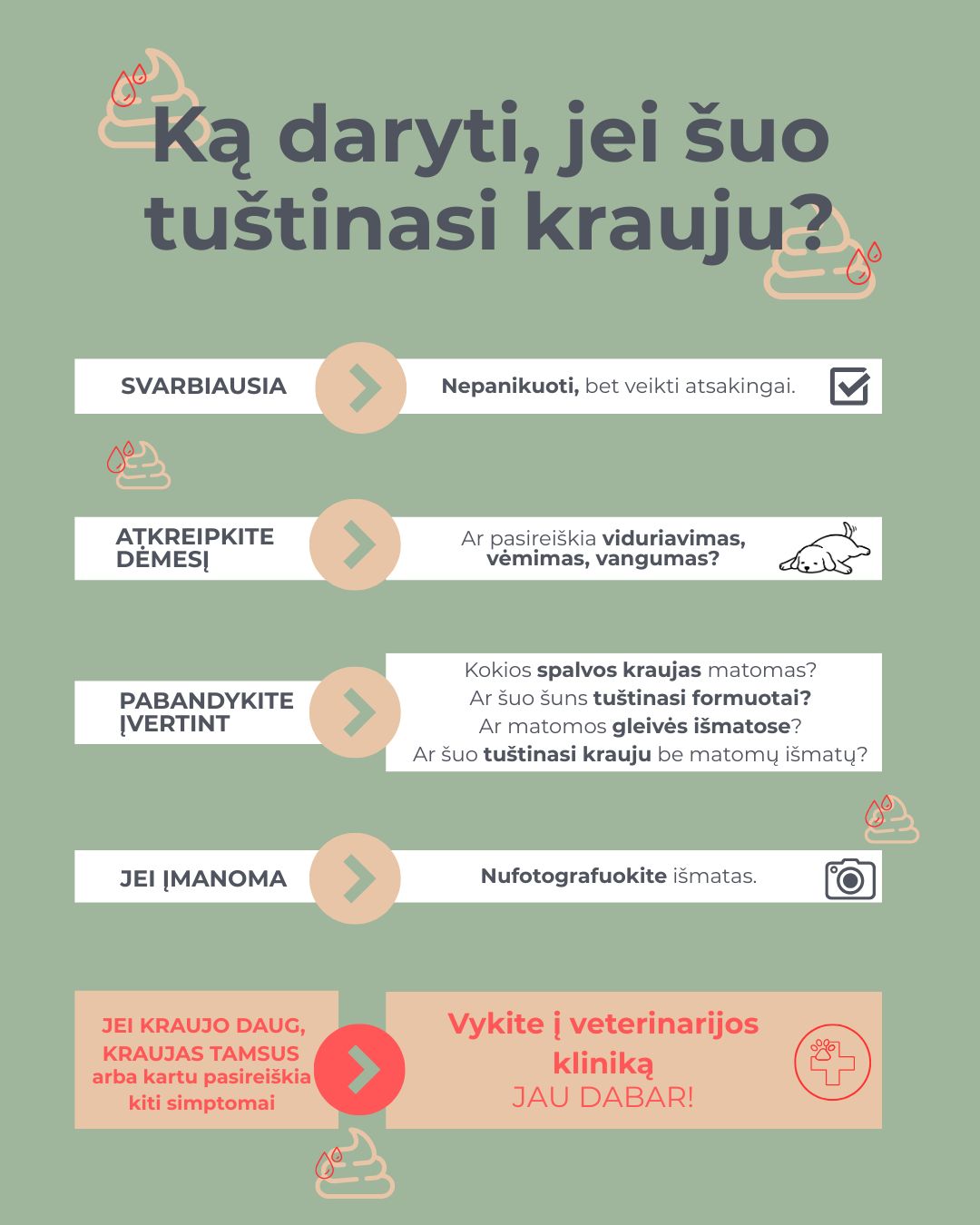 Ką daryti, jei šuo tuštinasi krauju? Nepanikuoti, atkreipti dėmesį į simptomus, spalvą ir kreiptis į vet. kliniką