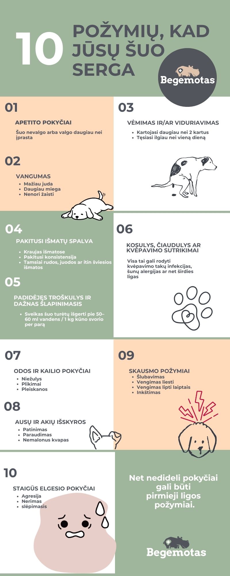 10 požymių, kurie gali išduoti, kad šuo serga: apetito pokyčiai, vangumas, vėmimas ir kita.