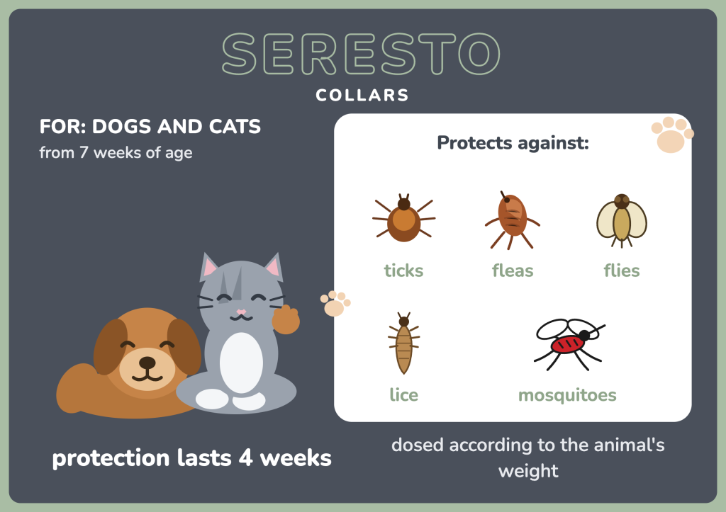 Seresto collars infographic. For dogs and cats from 7 weeks of age. A cartoon dog and cat lie side by side. Protects against ticks, fleas, flies, lice and mosquitoes, each shown with an illustration. Protection lasts 4 weeks; dosed according to the animal's weight.
